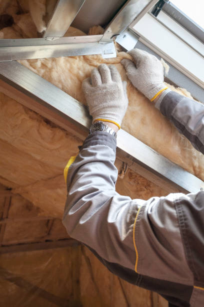 Best Types of Insulation in Williamston, SC
